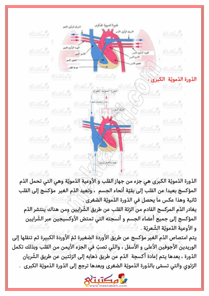 إيقاظ علمي السنة الخامسة الدورة الدموية مع تمارين مكتبتي سعادتنا في خدمتكم