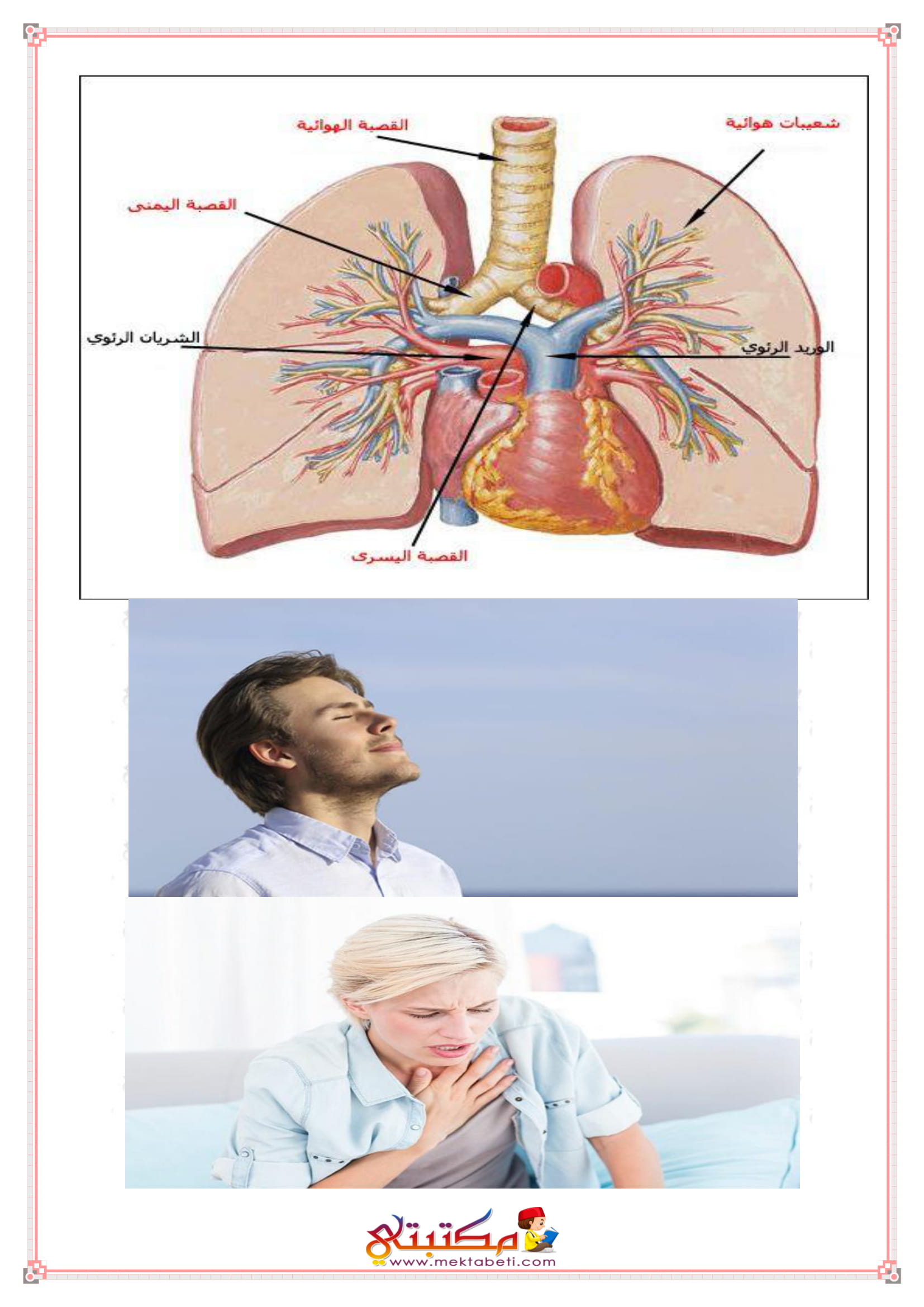التنفس عند الإنسان مكتبتي المنصة التعليمية